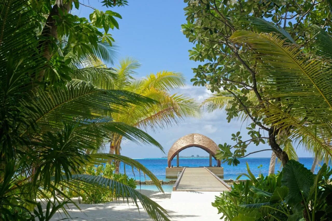 Дангети мальдивы. Outrigger maldives maafushivaru resort. маафушивару мальдивы. остров дангети мальдивы. lti maafushivaru maldives.