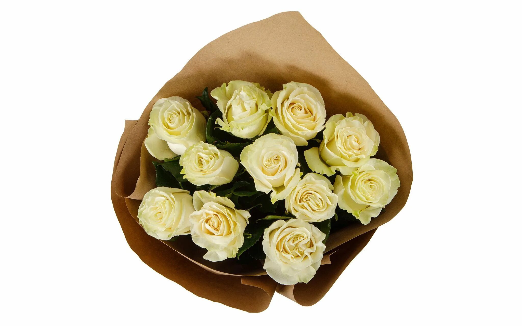 Букет из 11 розовых роз. Букет из 11 красных роз. 11 белых роз в крафте. 11 роз в упаковке. Букет из 11.