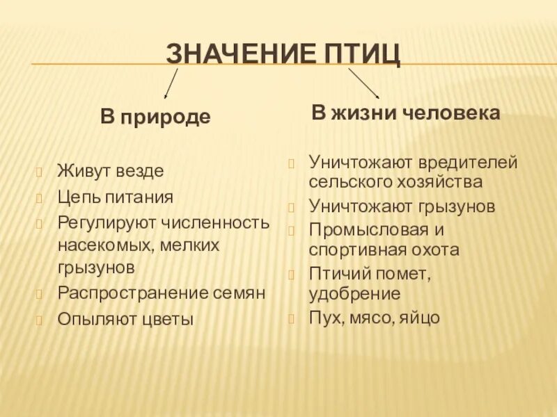 Биология 7 класс значение птиц в природе. Значение птиц. Значение птиц в жизни человека. Значение птиц в природе и жизни человека. Значение птиц для человека.