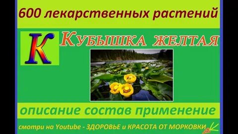Кубышка проценты