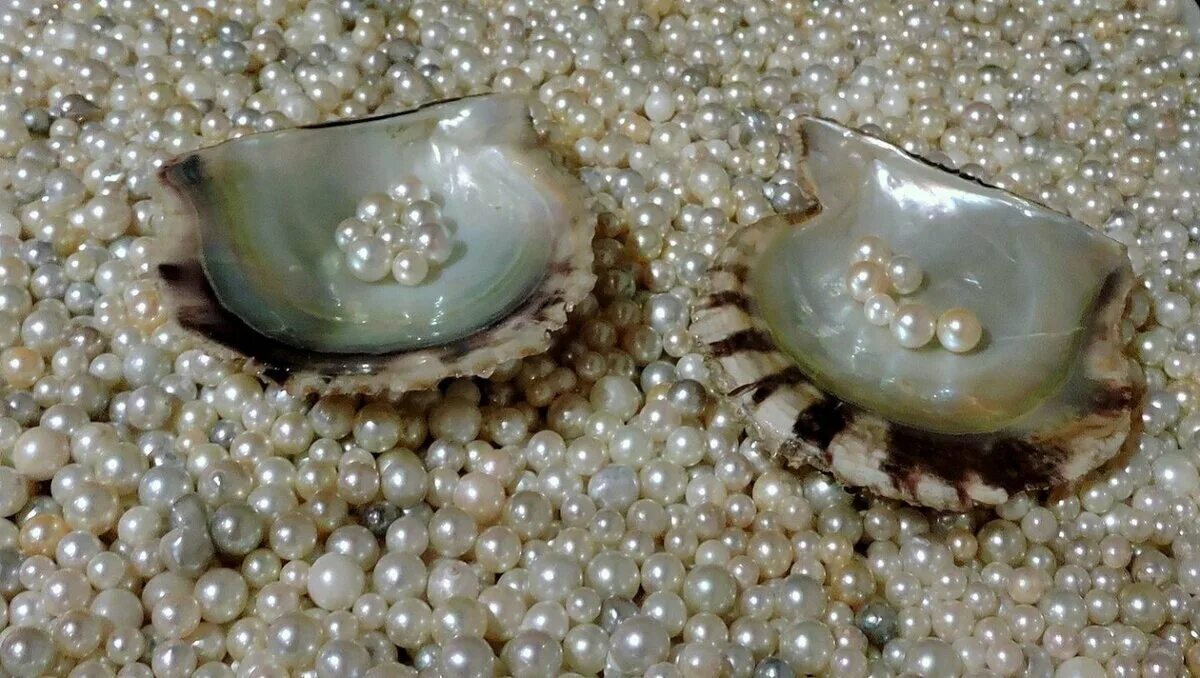 Here's Why Pearls No Longer Cost a Fortune Smithsonian