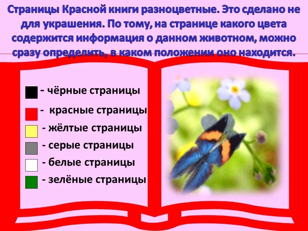 Красная книга россии московской области. Цветные страницы красной книги. Цветные страницы красной книги России. Страницы красной книги по цветам. По страницам красной книги.