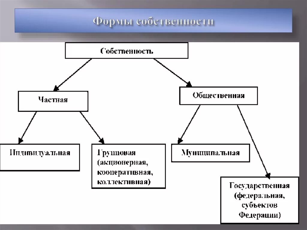 Тема формы собственности. Формы частной собственности. Виды частной собственности. Форма собственности частная собственность. Виды индивидуальной собственности.