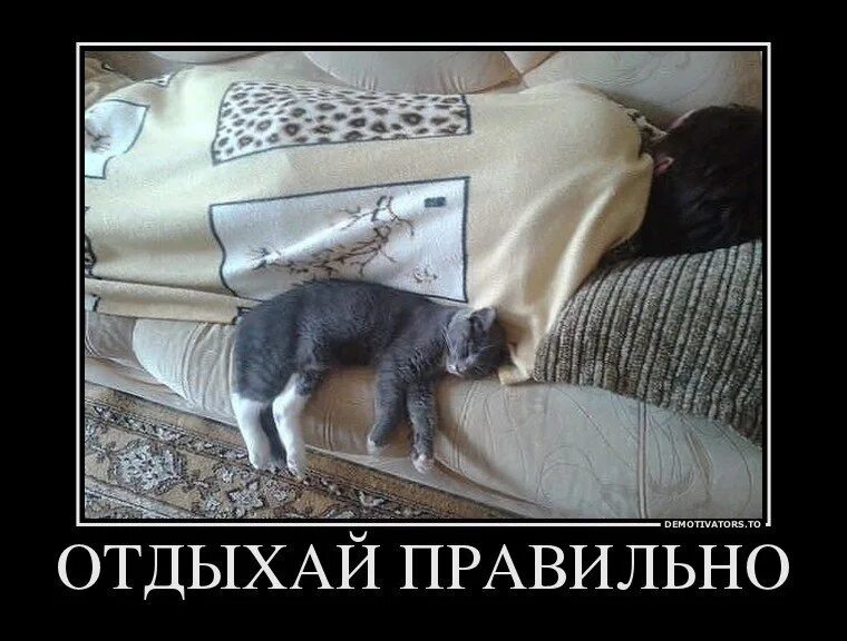 Как правильно пишется отдохнули или отдахнули