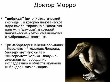 Химера слова