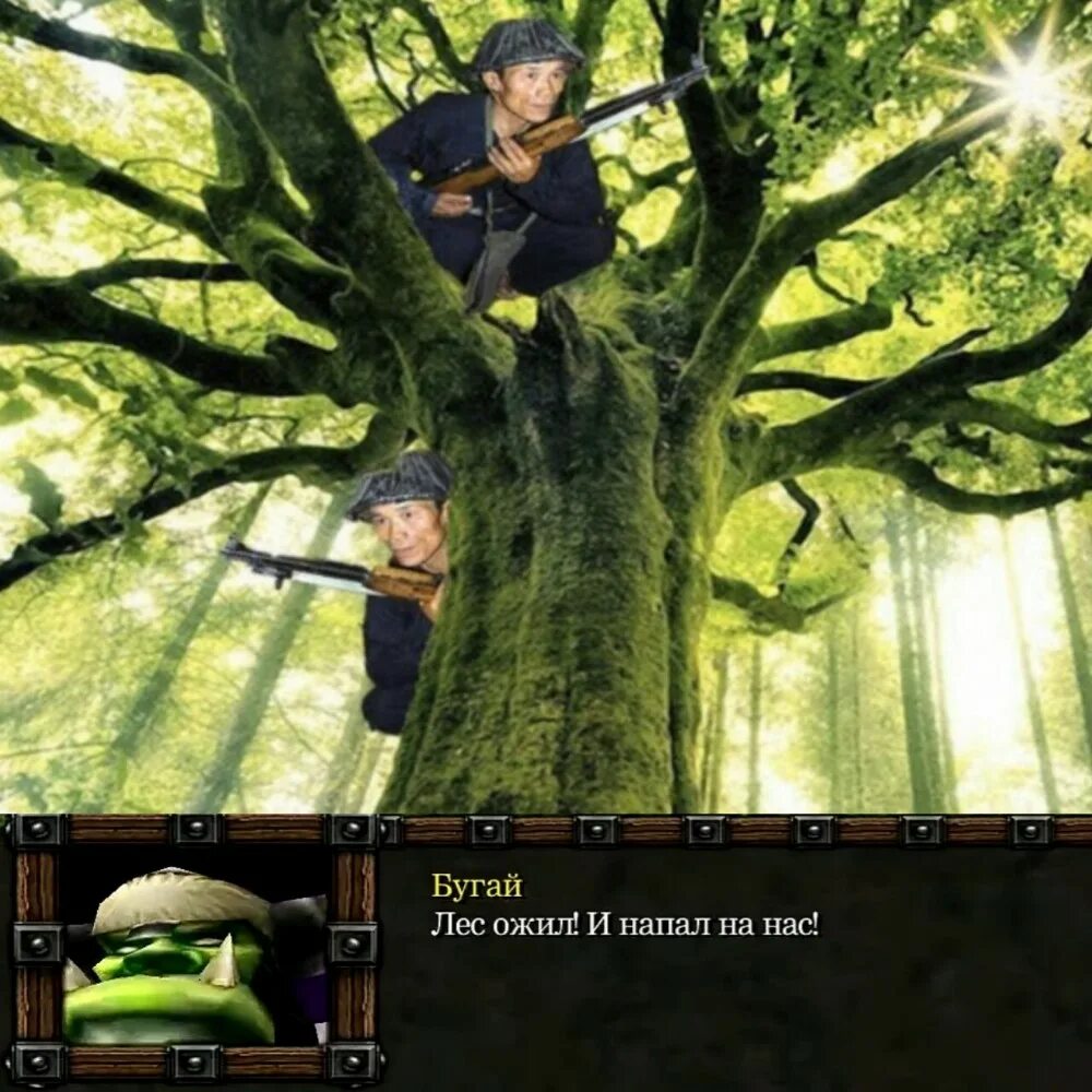 Into the tree