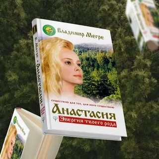 Мегре кедры
