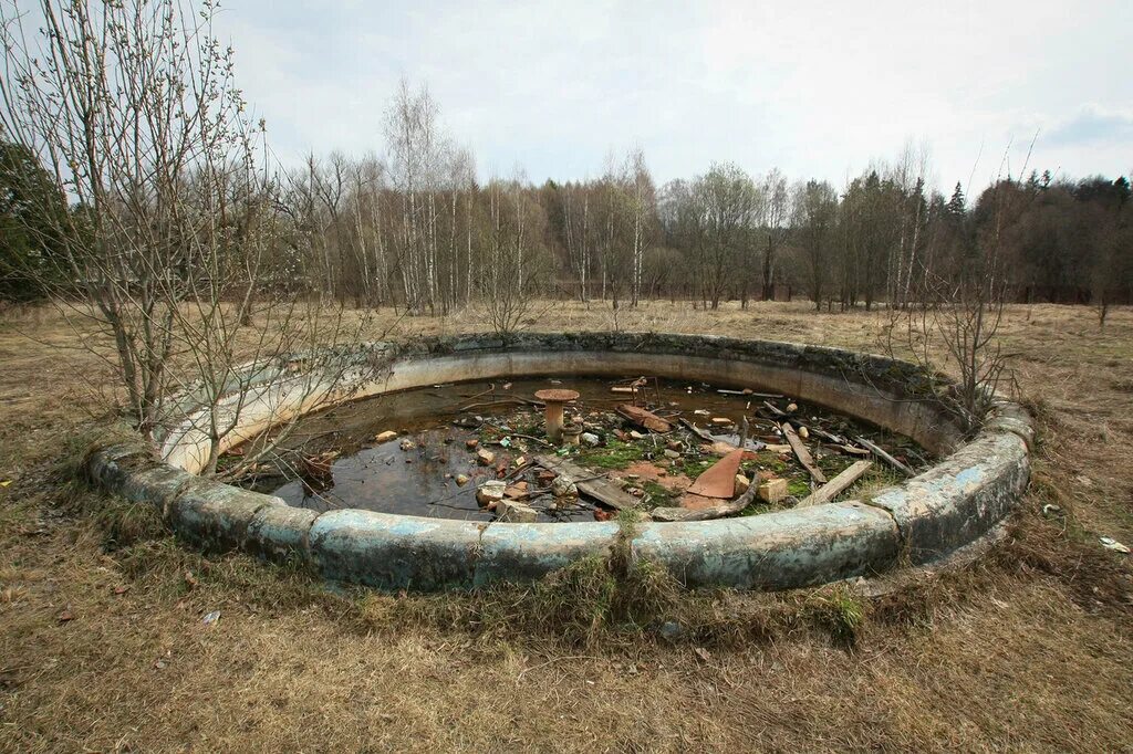 Усадьба семеновское отрада. Семеновское-отрада усадьба орловых. заброшенная усадьба отрада семеновская. заброшенная усадьба «семёновское-отрада» (московская область). семеновская отрадная усадьба.