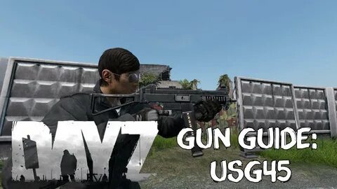 Dayz gun