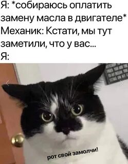 Я не собираюсь платить за кожуру