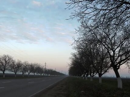 Климат узкой полосы
