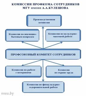 Комиссии профкома