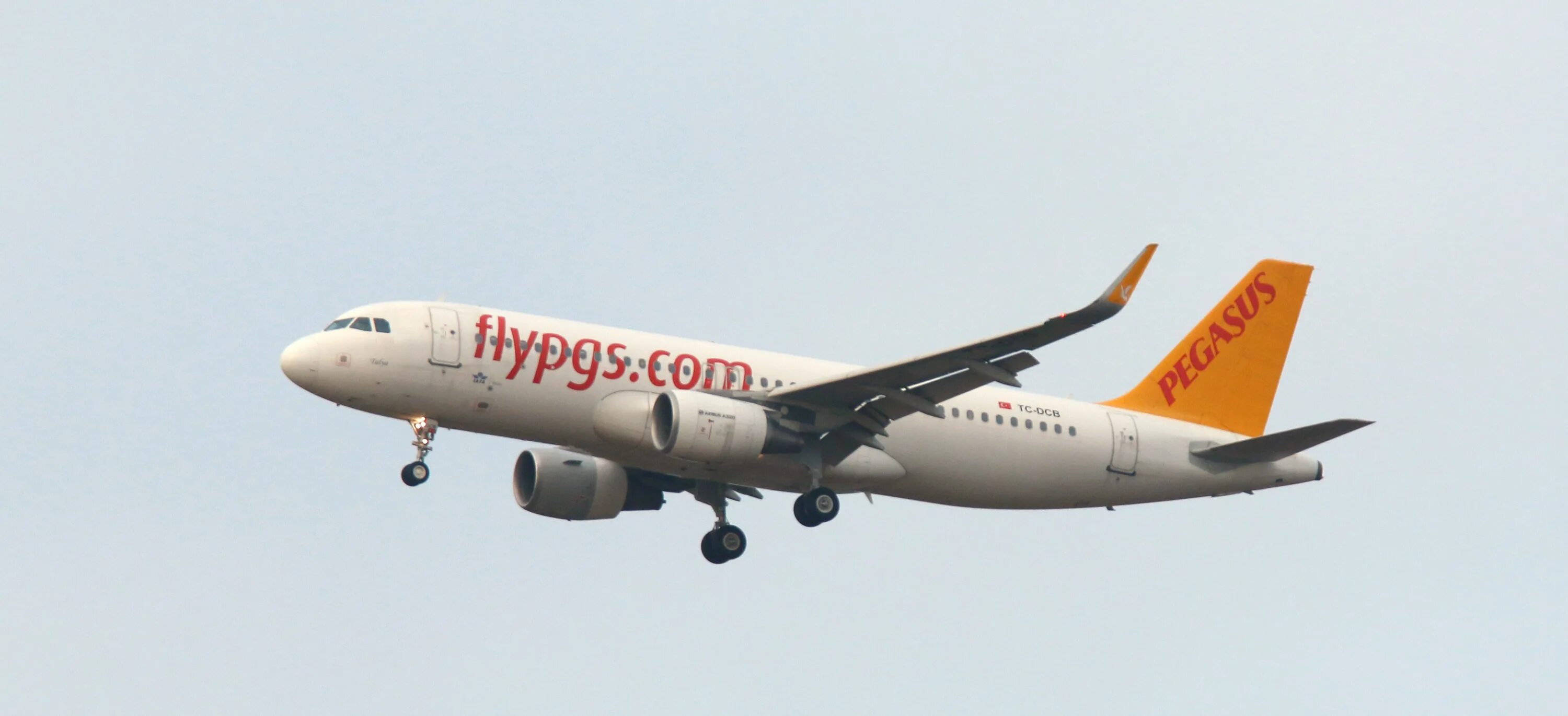 Пегасус купить авиабилеты на официальном сайте. Pegasus Airlines Airbus-320. Pegasus Airlines a320. Pegasus Airlines a320 салон. Pegasus Airlines ил 96.