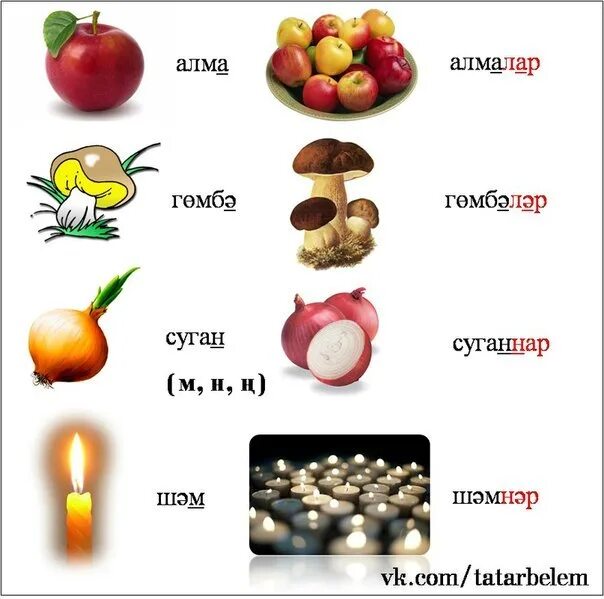 Овощи и фрукты на татарском языке. Фрукты на татарском языке. Овощи на татарском языке. Овощи и фрукты на башкирском языке. Татарский язык учить с нуля в домашних