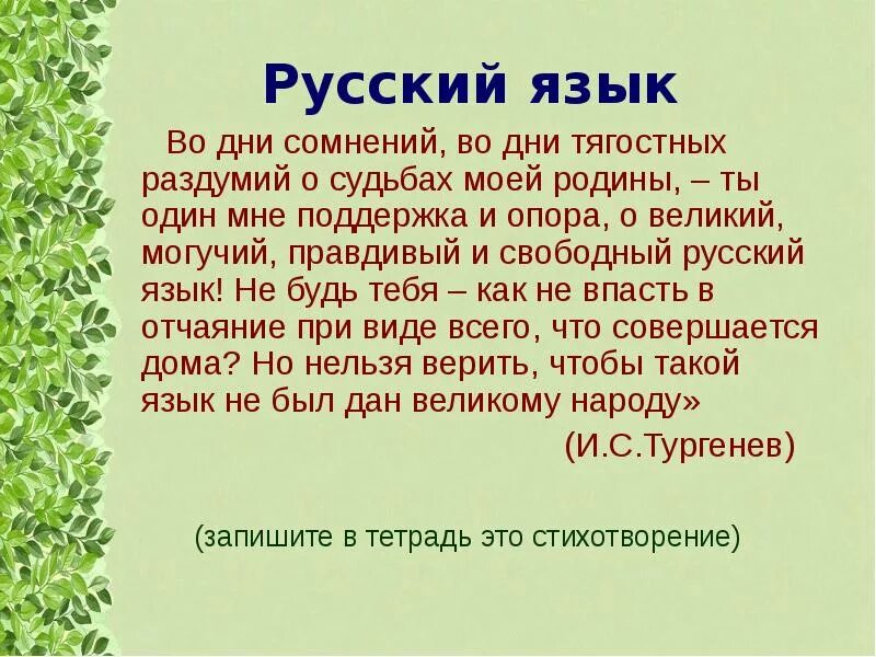 Во дне сомнений. Стих русский язык. Стихотворение о русском языке для 5 класса. Стмхф о русском языке. Стих про язык.