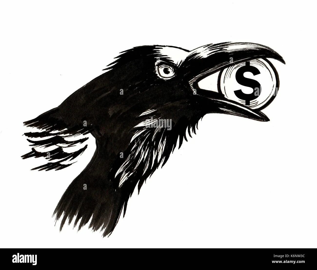Четвероногая ворона бар. Crows деньги. Черепа птиц ворон. Вороны и деньги. Ворона с деньгами.