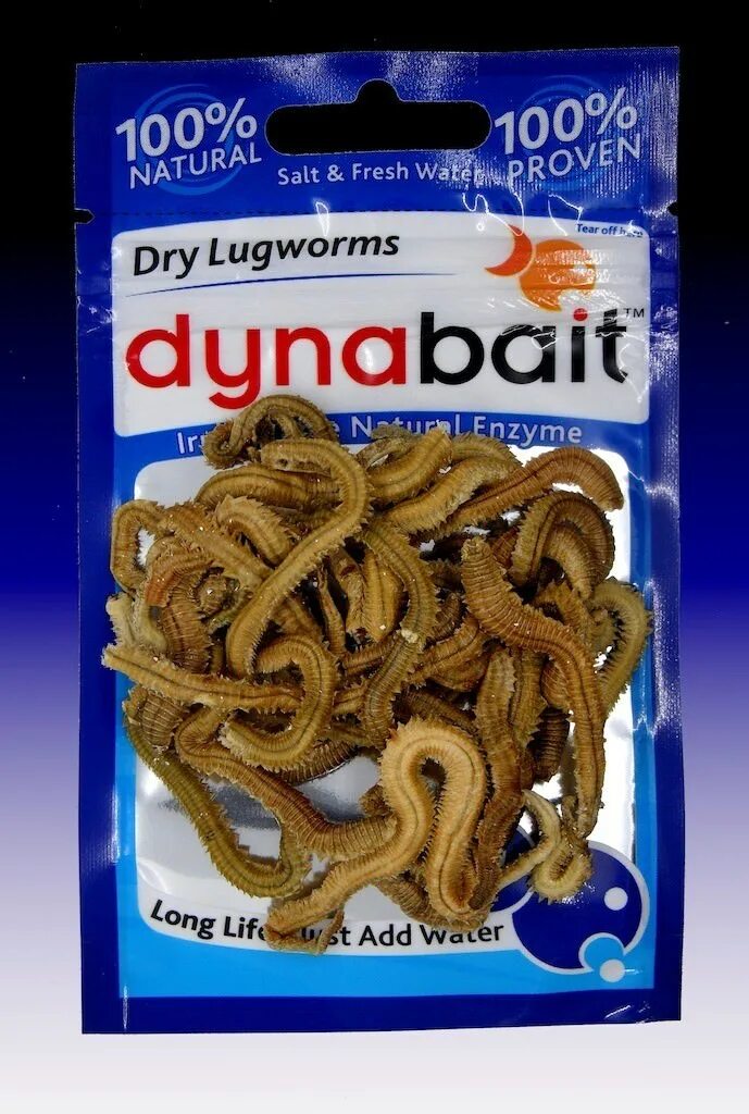 Сухой червь. Сушеный червь нереис. Червь сушеный DYNABAIT Dry lugworms. Наживка DYNABAIT Dry Bloodworms.