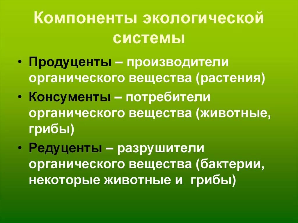 Компоненты экосистемы. Основные компоненты экосистемы. Перечислите основные компоненты экосистемы?. Компоненты биогеоценоза.