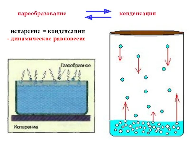 Динамическое равновесие со своей жидкостью. Конденсация схема процесса. Процесс испарения физика 10 класс. Схема процесса конденсации 2 класс. Процесс парообразования схема.