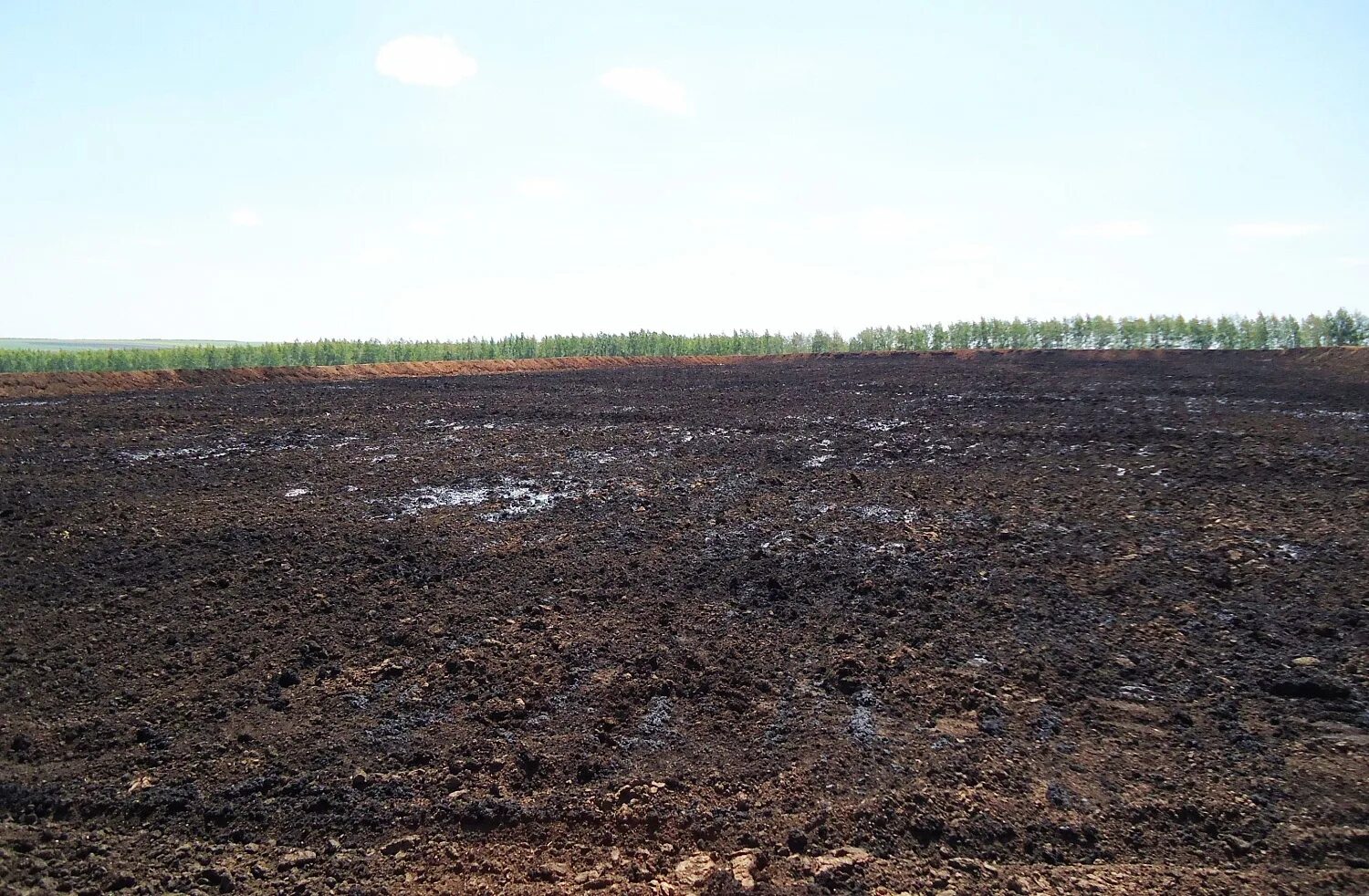 Лесная рекультивация. Разрушение почвы. Меры по охране почв. Этапы рекультивации нарушенных земель. Восстановление нарушенных земель.