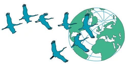 международный социально. международный социально-экологический союз эмблема. международный социально-экологический союз цели и задачи. международный социально-экологический союз (мсоэс). международный социально.