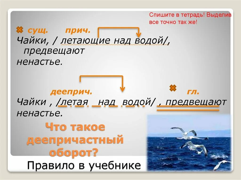 Сущ + прич оборот. Прич и дееприч оборот. Деепричастный оборот. Сущ дееприч. Самый роль в предложении