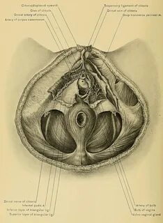 Екатерина Решетилова порно