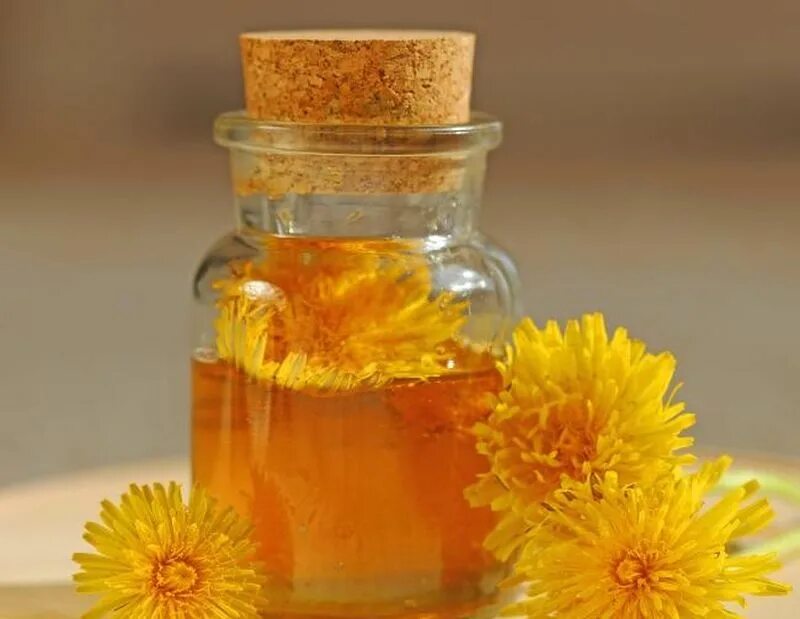 Одуванчик в народной медицине. Травы в косметологии. Масло из одуванчиков. Одуванчик варенье. Настой из одуванчиков.