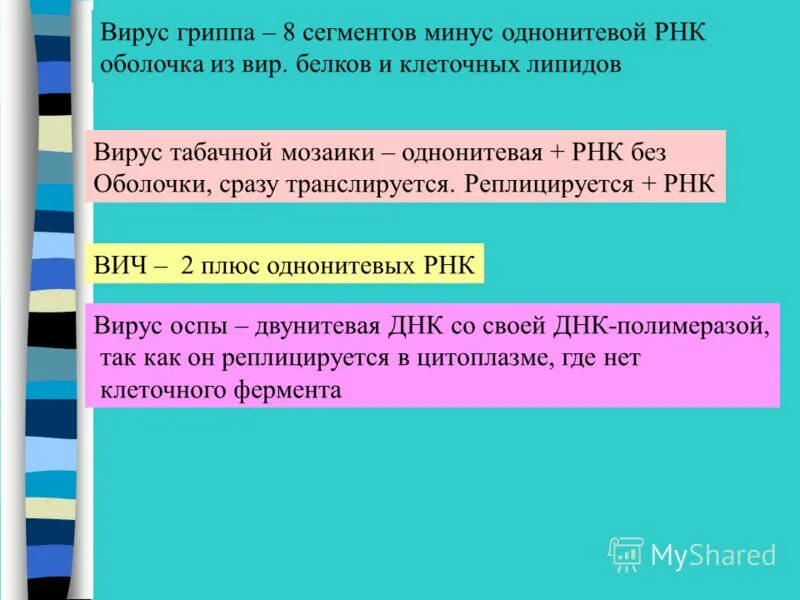 Рнк вич 1