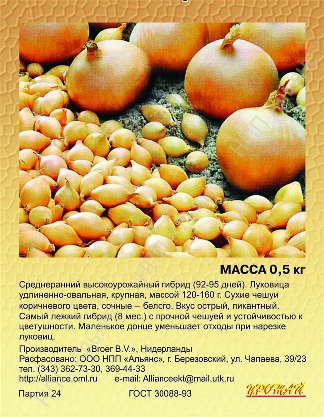 Цеанотус Мари Симон - купить в питомнике Дирижер Сада
