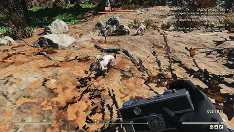 Fallout 76 где кролики