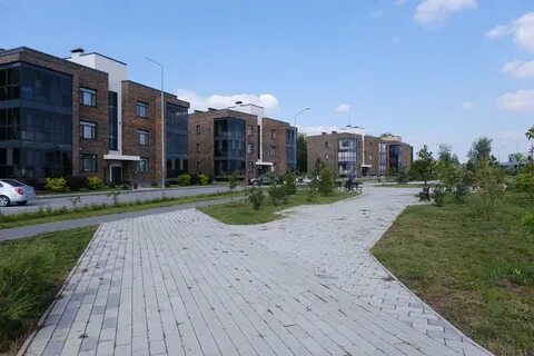 Новосибирские нов