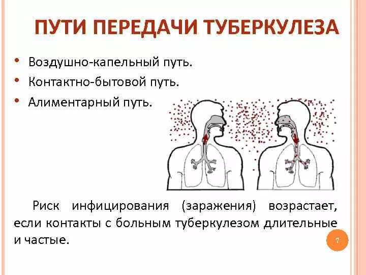 Легко передается воздушно капельным. Воздушно капельный путь передачи туберкулеза. Воздушно капельный путь заражения туберкулезом. Передаётся ли туберкулёз воздушно-капельным путем. Пути передачи заражения туберкулезом.