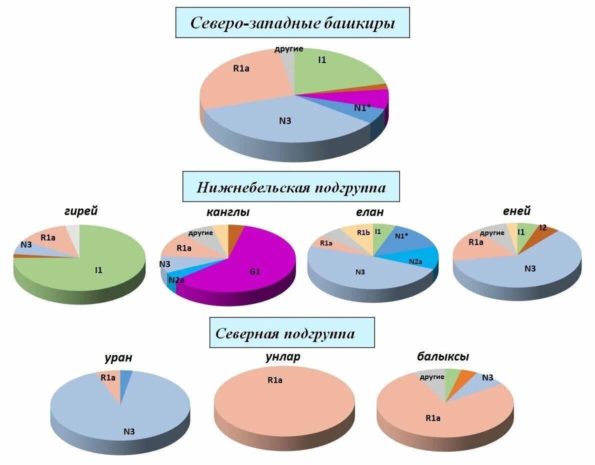 Днк гаплогруппы казахов. Гаплогруппа башкир. Гаплогруппа чувашей. Татары и башкиры генетика. Гаплогруппа чувашей.