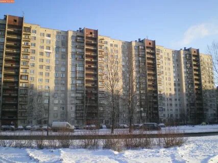 Санкт петербург ул передовиков