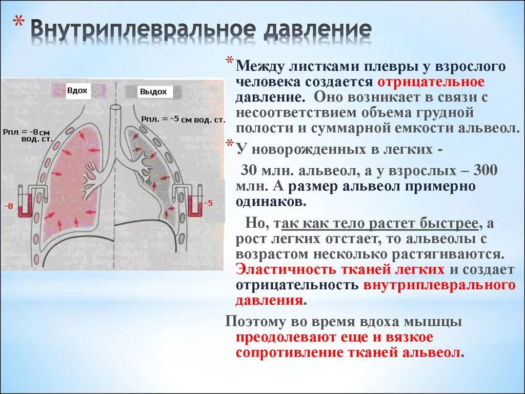 При вдохе давление в легких падает. Внутриплевральное давление. Внутриплевральное давление при выдохе. Внутриплевральное давление при вдохе. Величина внутриплеврального давления вдохе.