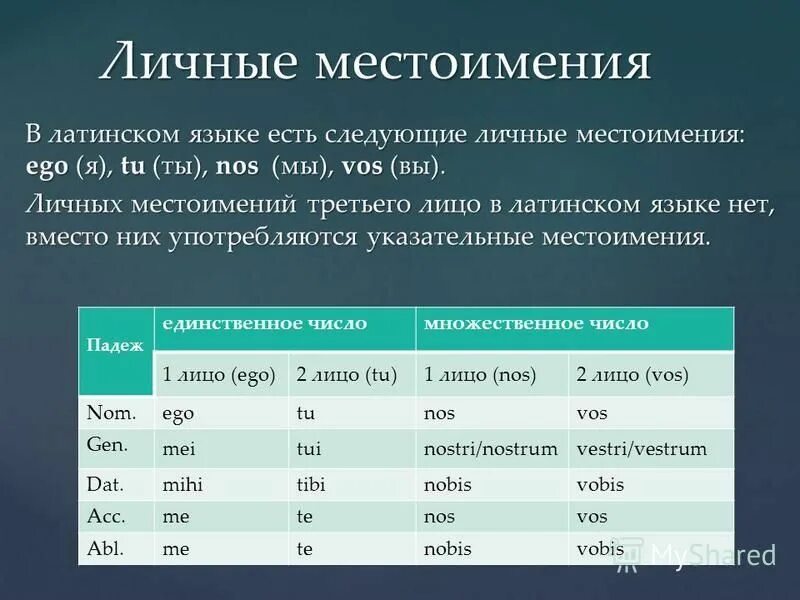 Сколько притяжательных местоимений использовал и с тургенев. Личное местоимение третьего лица в латинском языке. Склонение местоимений латынь. Склонение личных местоимений в латинском языке таблица. Склонение личных местоимений латынь.