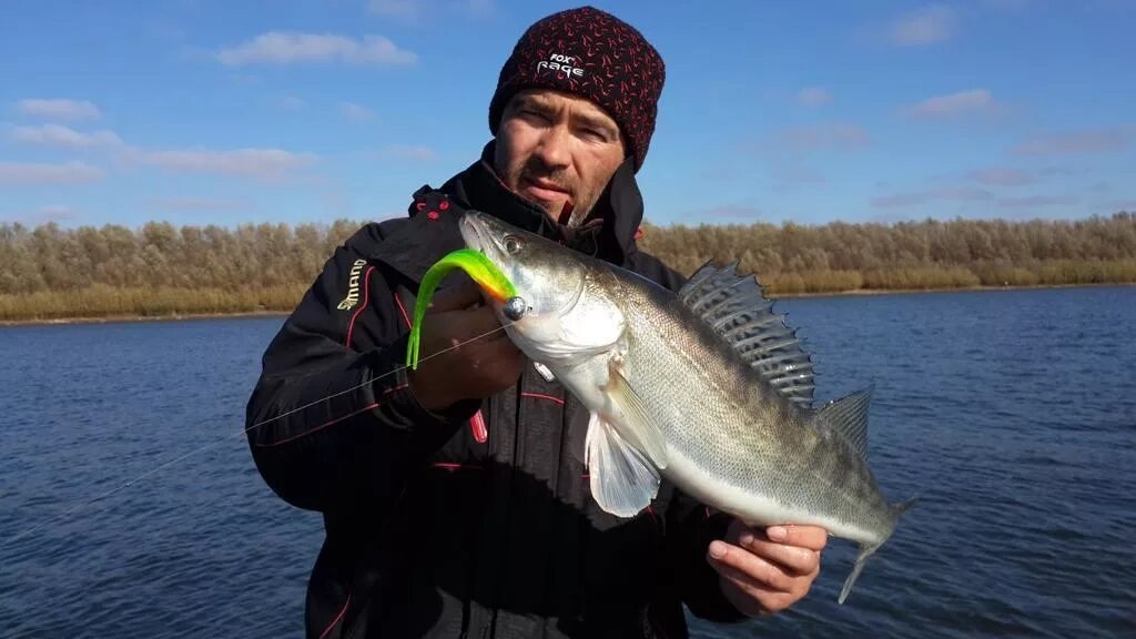 Зюзин рыбалка. Зюзин рыбалка. Чуланов с судаком. Зюзин рыбалка. Зюзин рыбалка.
