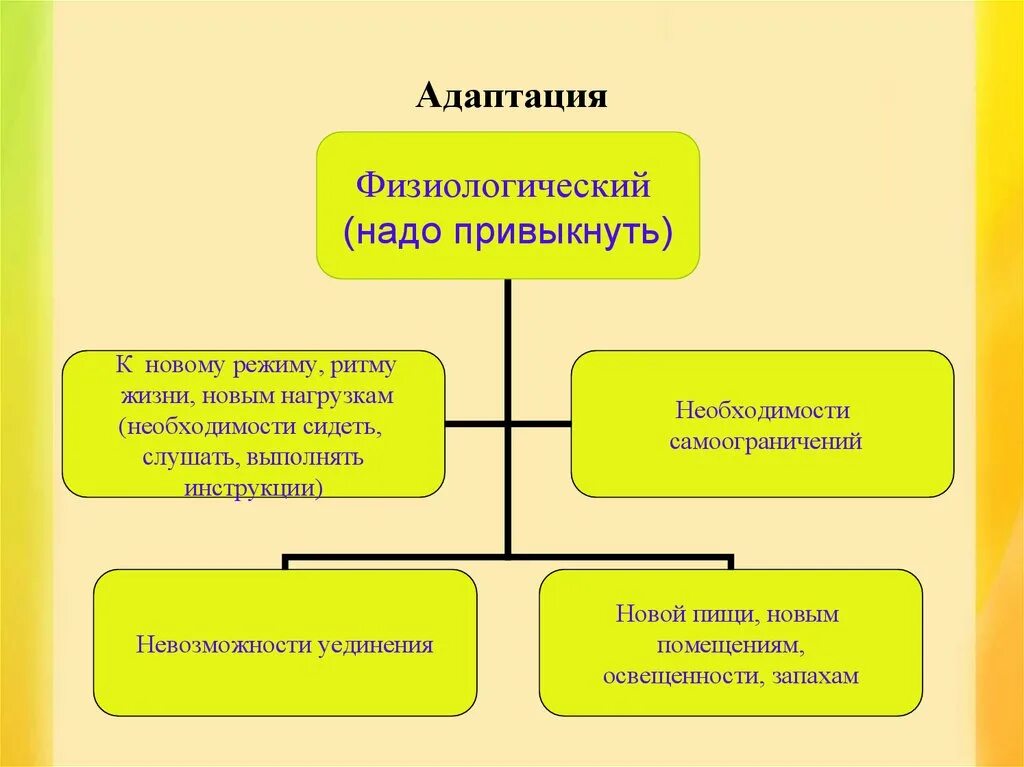 Особенности строения физиологии адаптации поведения животных. Механизмы адаптации к запахам. адаптация ощущений. вкусовая адаптация физиология. адаптация к новой жизни.