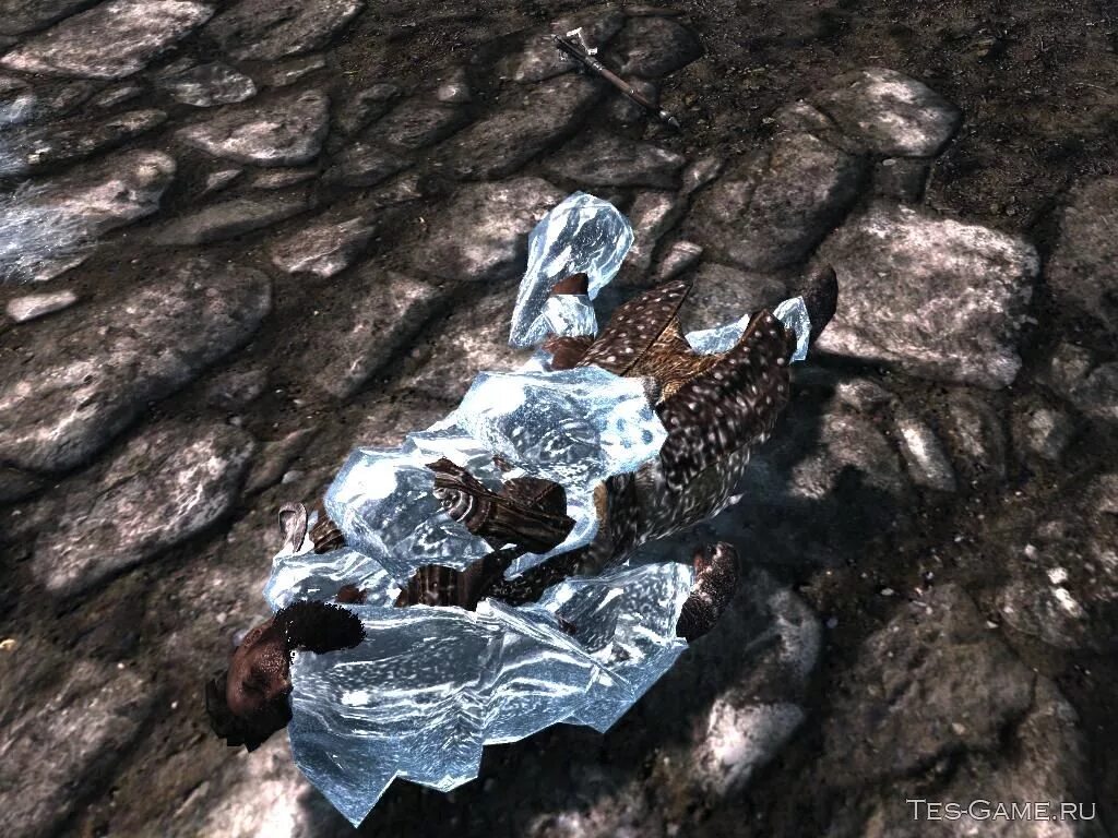 Скайрим unp armor. Tes женщина норд. Skyrim мод на мертвые тела. Tes 5 skyrim скриншоты. Создатель артефактов скайрим.