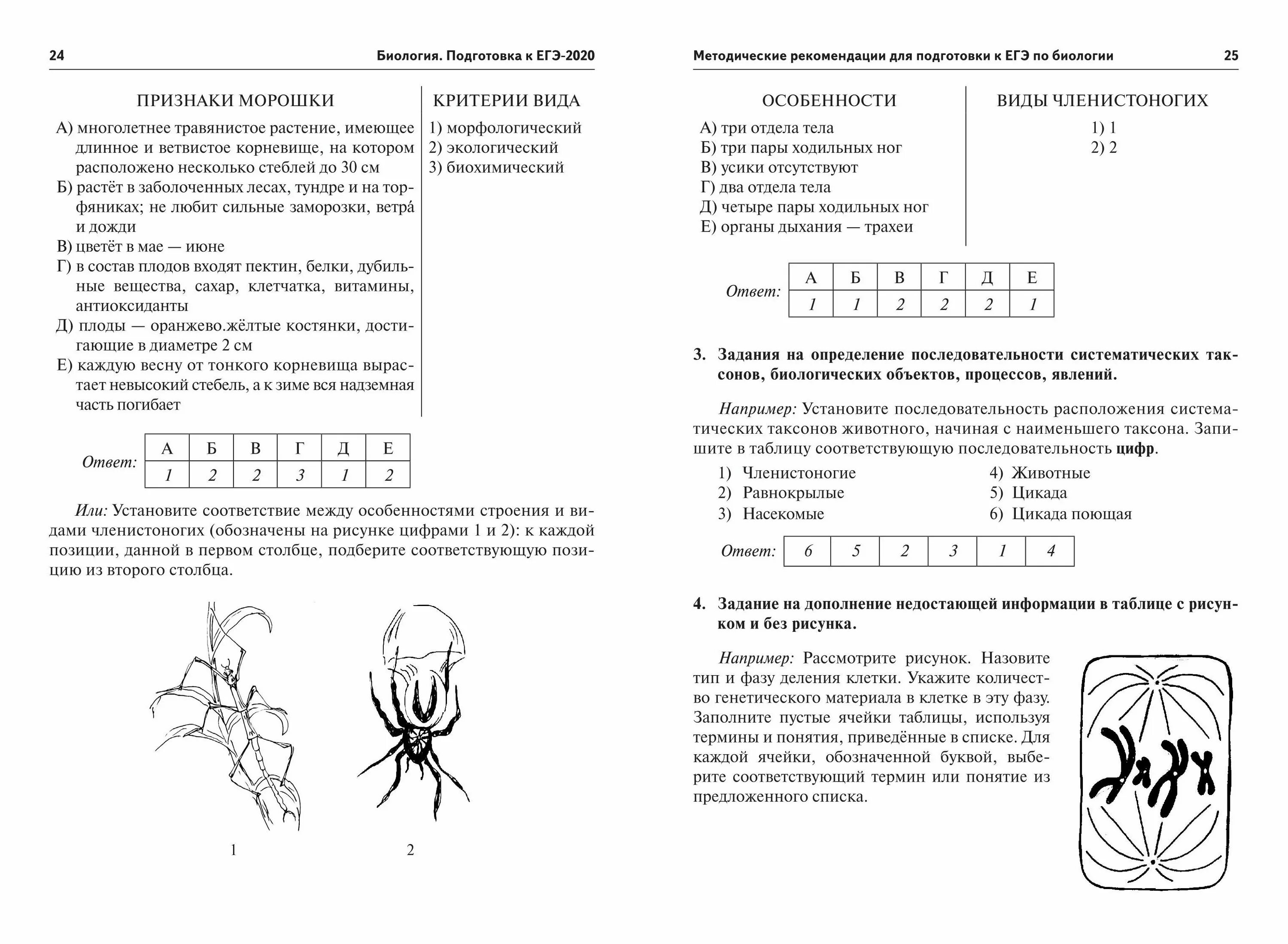 Биология егэ читать. Демонстрационный вариант ЕГЭ биология 2020. Тесты по биологии задание биология. Задачи по биологии ЕГЭ 2023. Задания ЕГЭ по биологии по темам.