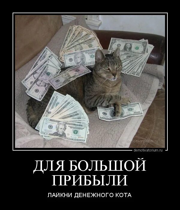 Кот с деньгами. Считать чужие деньги. Кот с деньгами. Котик с деньгами арт. Праздник денежного кота.