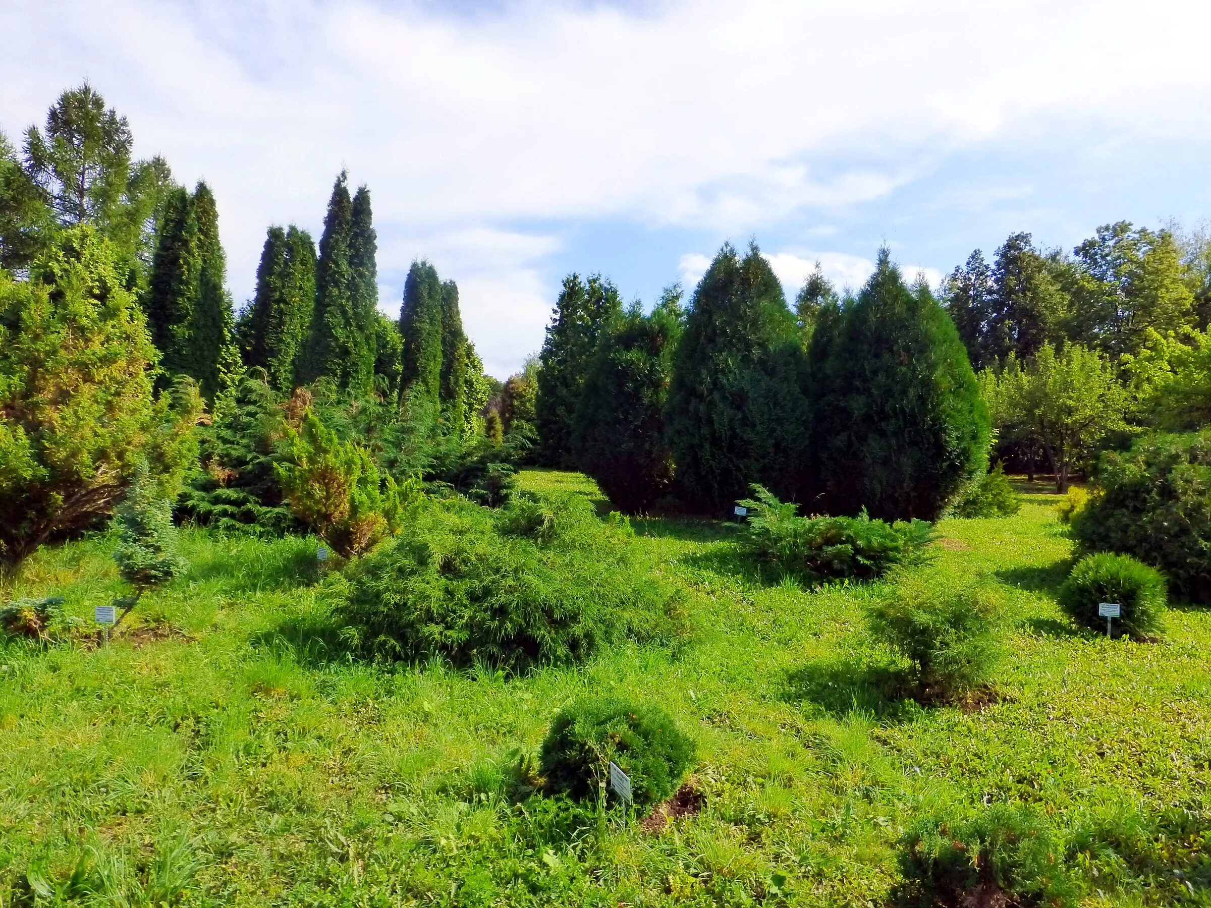 Оранжерея уфа ботанический сад. Ботанический сад-институт унц ран в уфе. Уфимский ботанический сад уфа. Парк крупской уфа. Уфа ботанический сад коллекций хвойных.