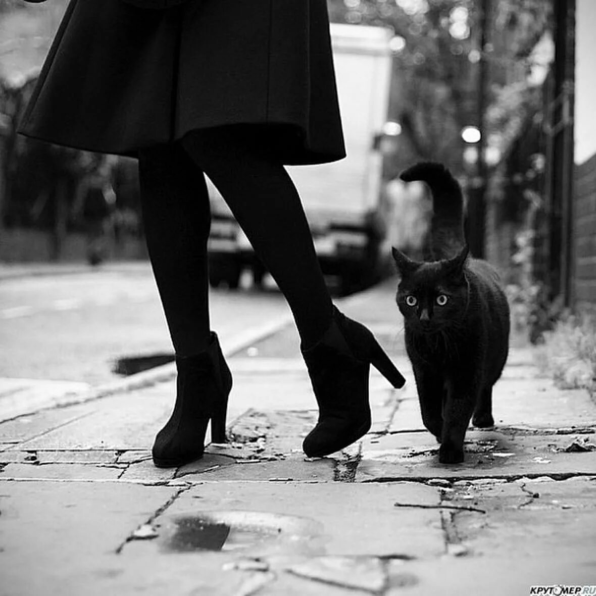 Черный кот и девочка. Фотосессия с черной кошкой. Черная кошка уходит. Девушка в туфлях. Девушка с черной кошкой.