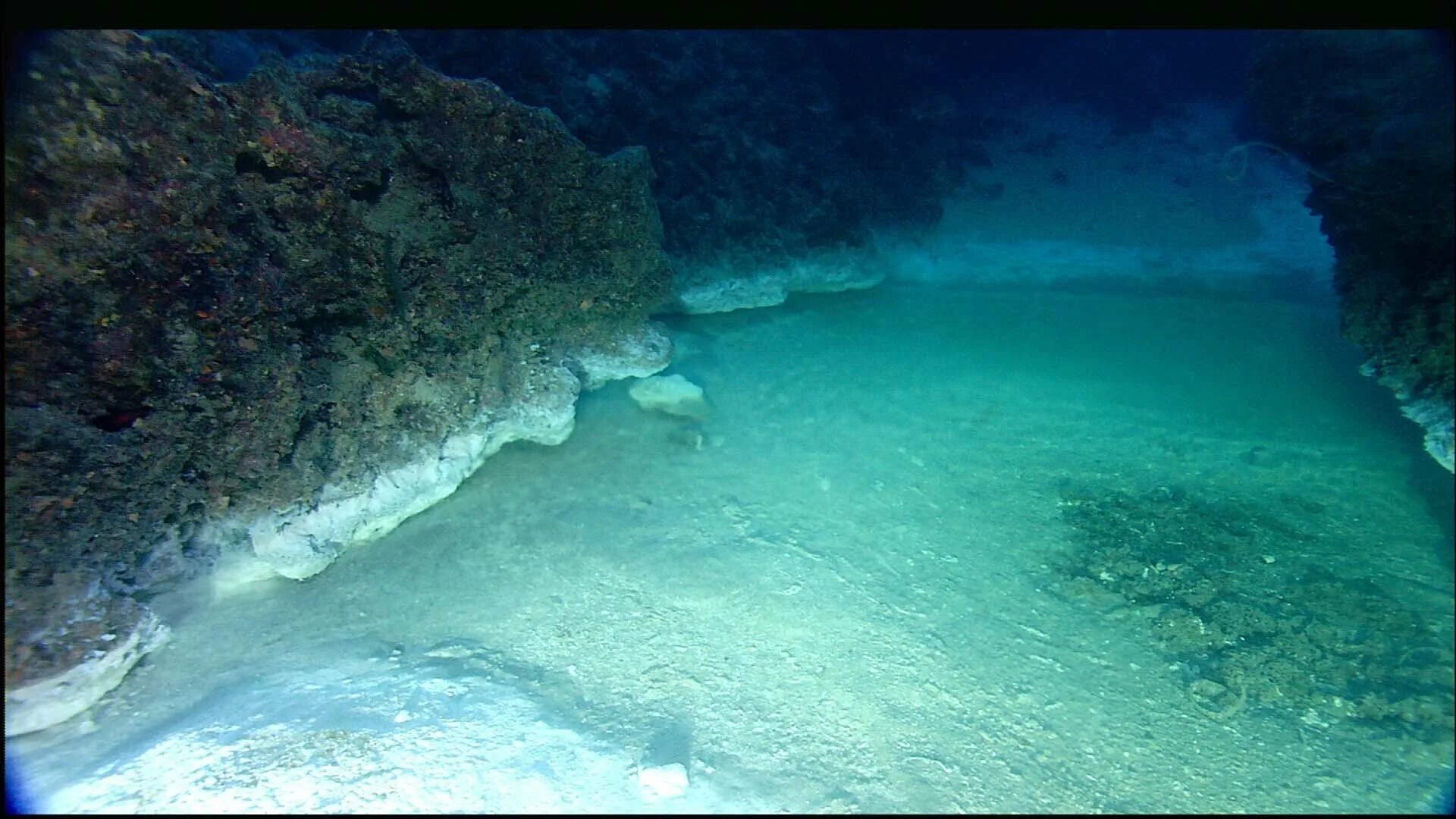 Океан образовался в результате. Сенот Ангелита. Подводная река в Сенот Ангелита Мексика. Подводная река на дне черного моря. Дно черного моря сероводород.