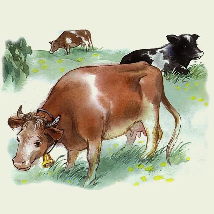 Коровка сказка. Ушинский бодливая корова. Ушинский бодливая корова иллюстрации.