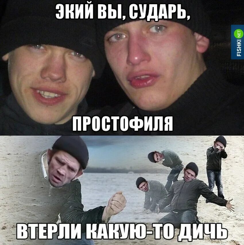 Мем втирающего дичь. Дичь мемы. смешная дичь. сударь простофиля. дичь приколы.