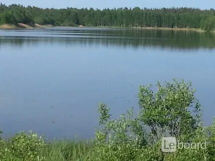 Тверские водоемы