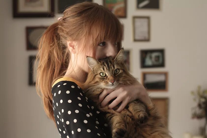 Девочка с котом. Девушка с котом. девушка с котом на руках. блондинка с кошкой на руках. женщина с рыжим котом.