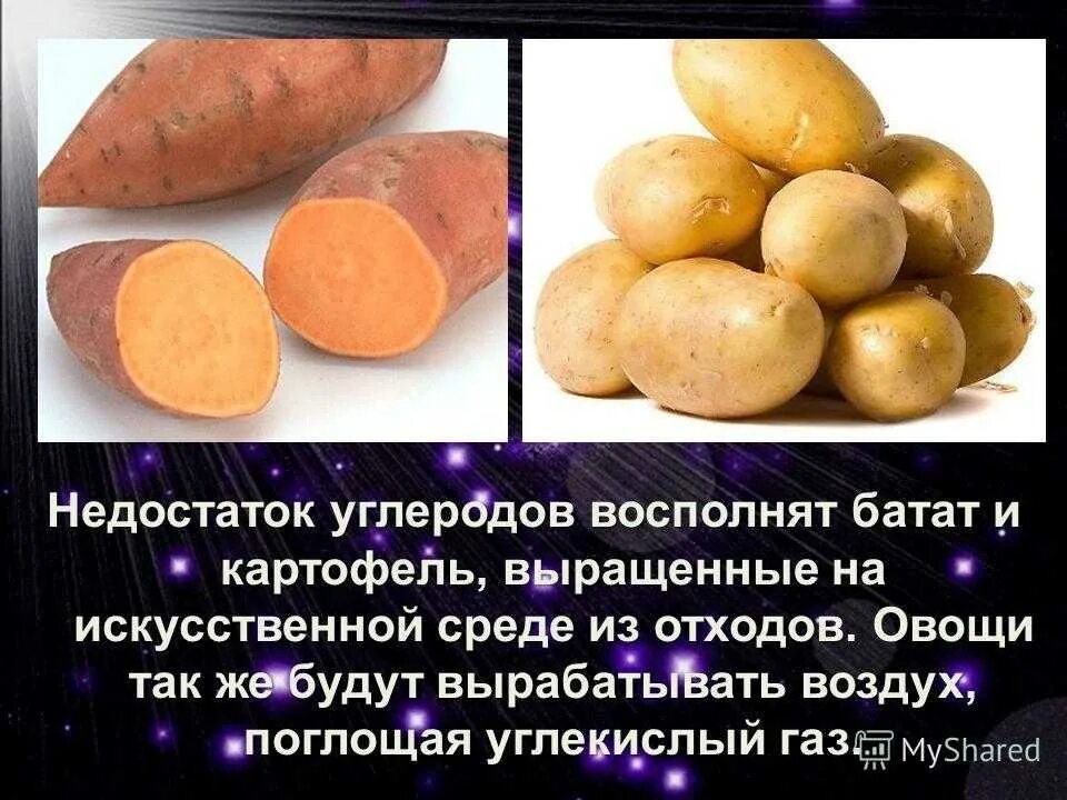 Батат бжу. Калорийность батата и картофеля. Батат калорийность на 100. Батат и картофель ккал. Сладкий картофель калорийность.